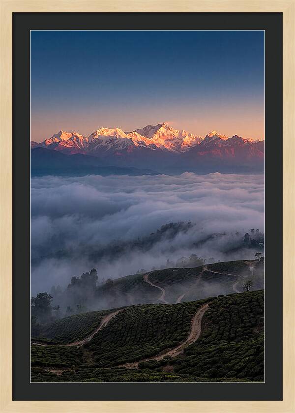 Kangchenjunga At Sunrise