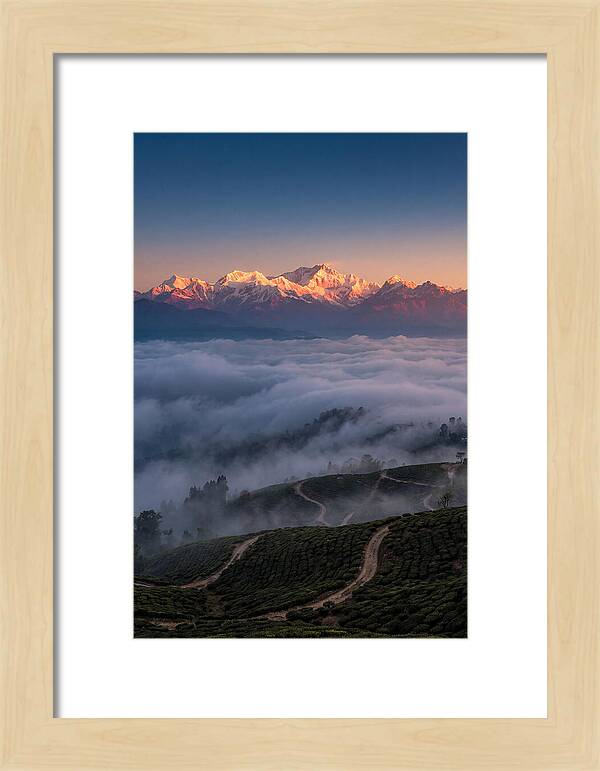 Kangchenjunga At Sunrise