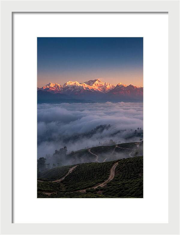 Kangchenjunga At Sunrise