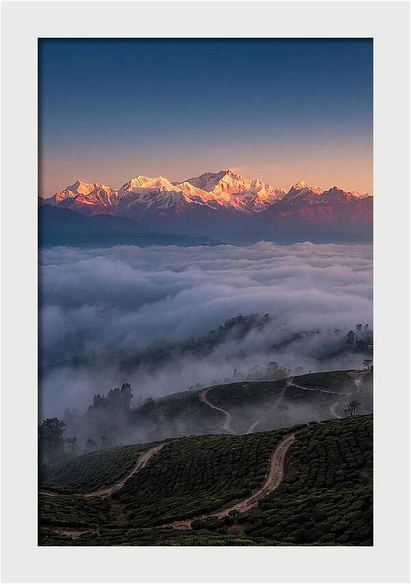 Kangchenjunga At Sunrise