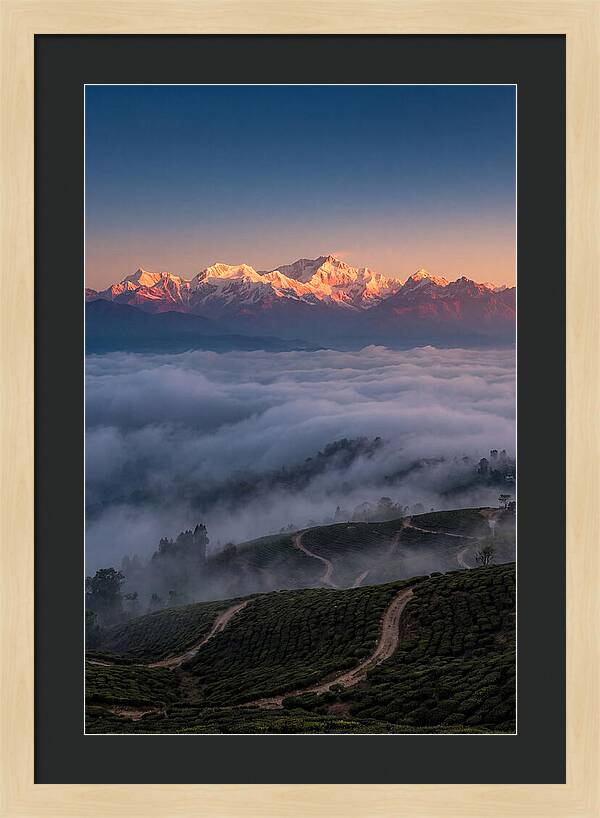 Kangchenjunga At Sunrise