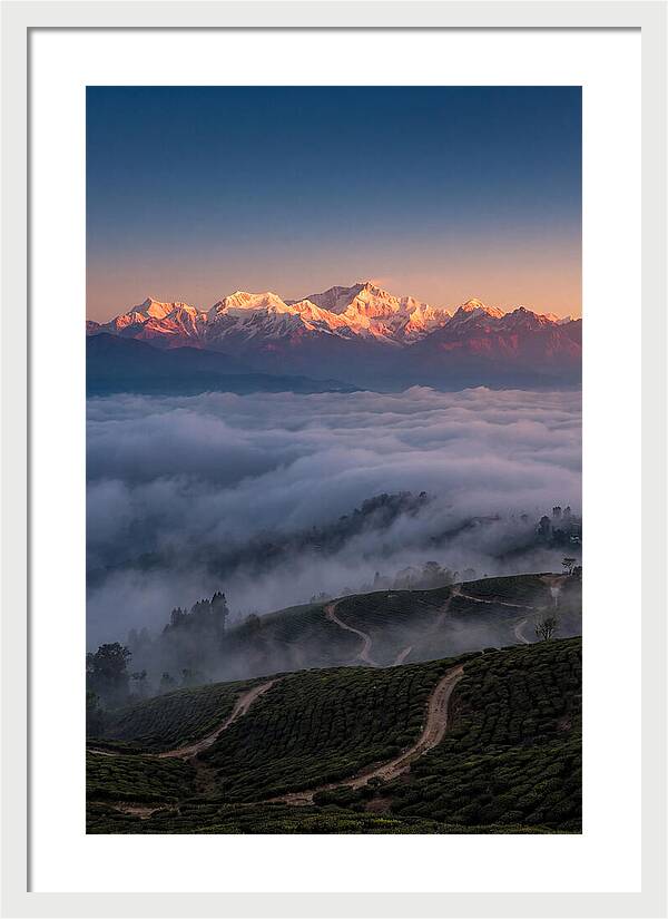 Kangchenjunga At Sunrise