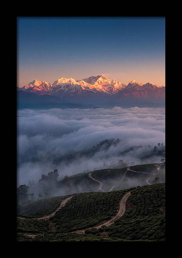 Kangchenjunga At Sunrise