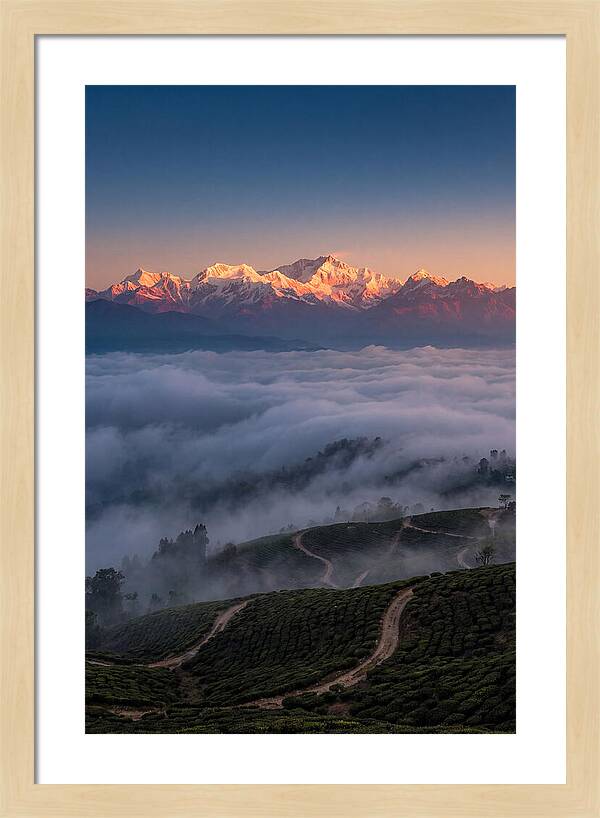 Kangchenjunga At Sunrise