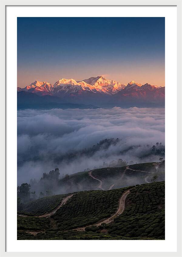 Kangchenjunga At Sunrise