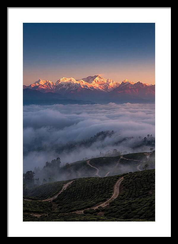 Kangchenjunga At Sunrise
