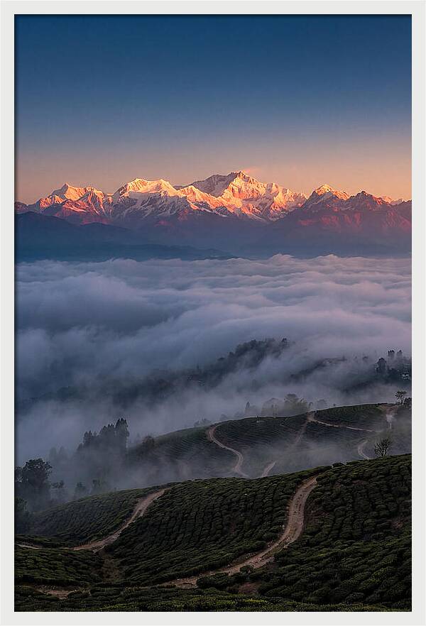 Kangchenjunga At Sunrise