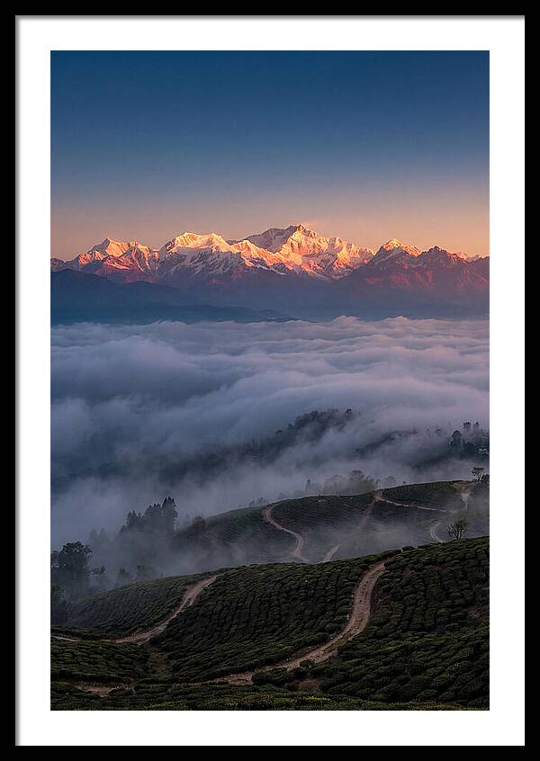 Kangchenjunga At Sunrise