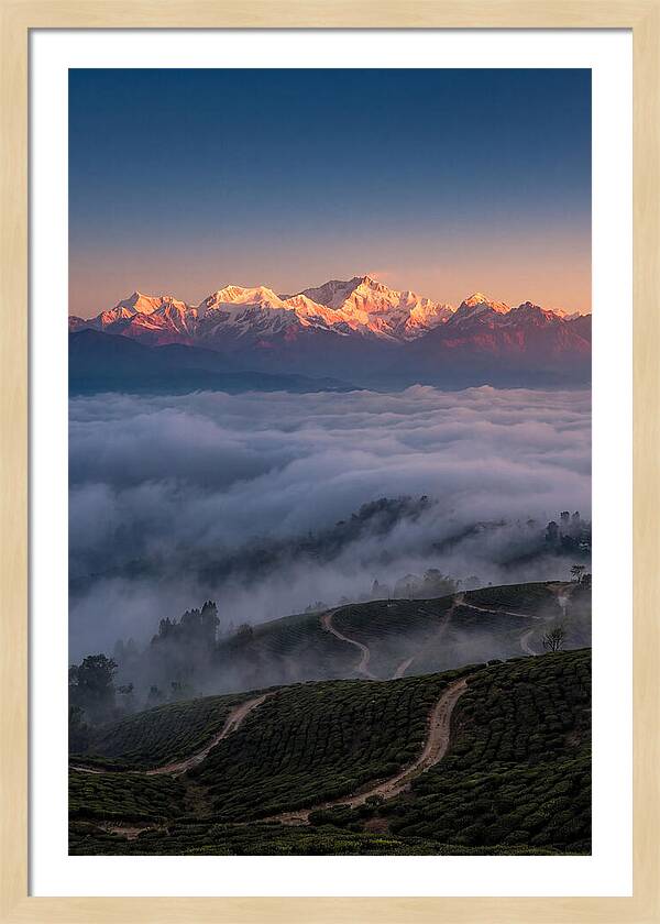 Kangchenjunga At Sunrise