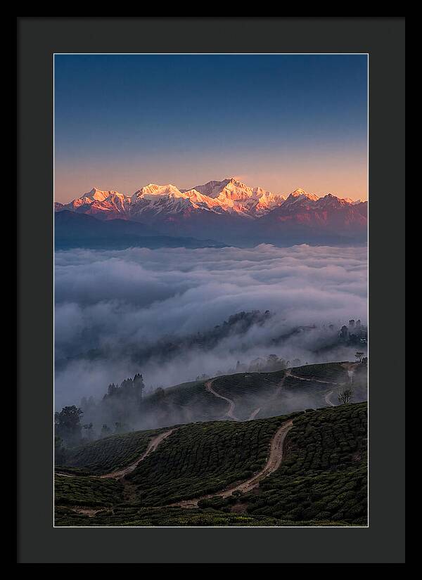 Kangchenjunga At Sunrise