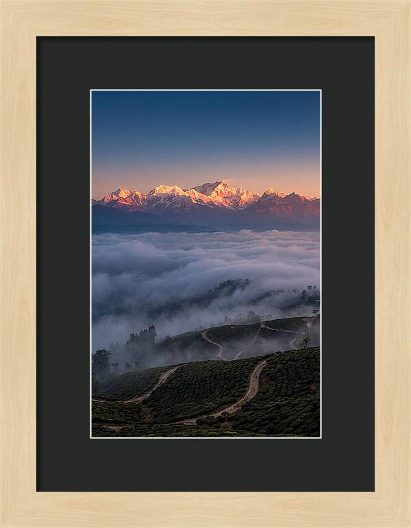 Kangchenjunga At Sunrise