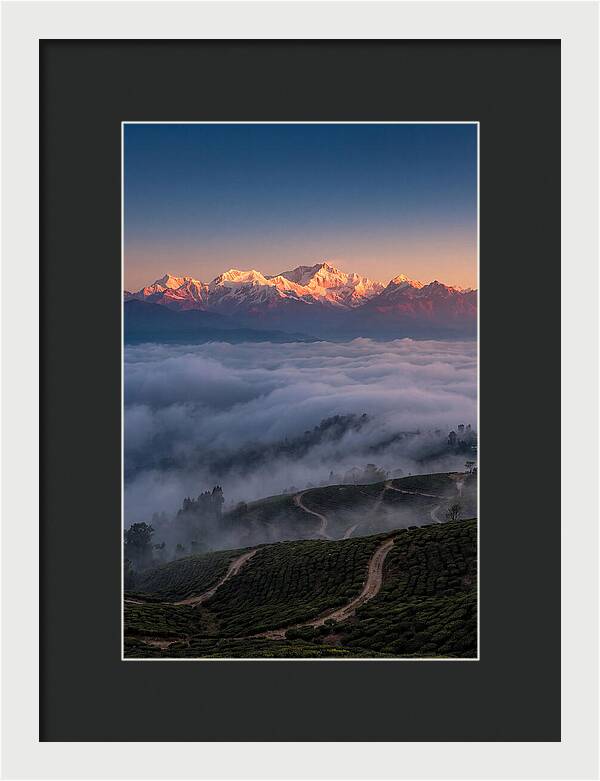 Kangchenjunga At Sunrise
