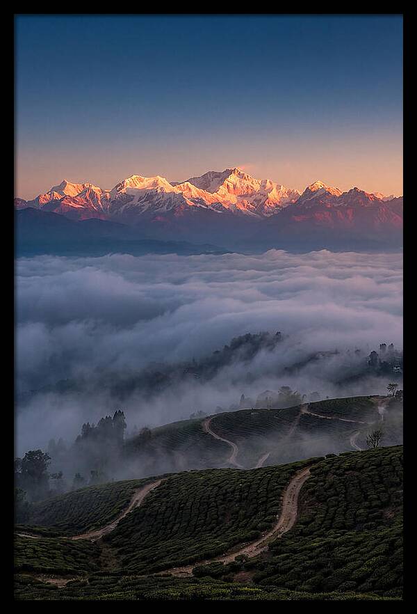 Kangchenjunga At Sunrise
