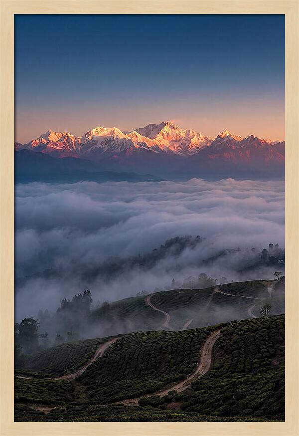 Kangchenjunga At Sunrise