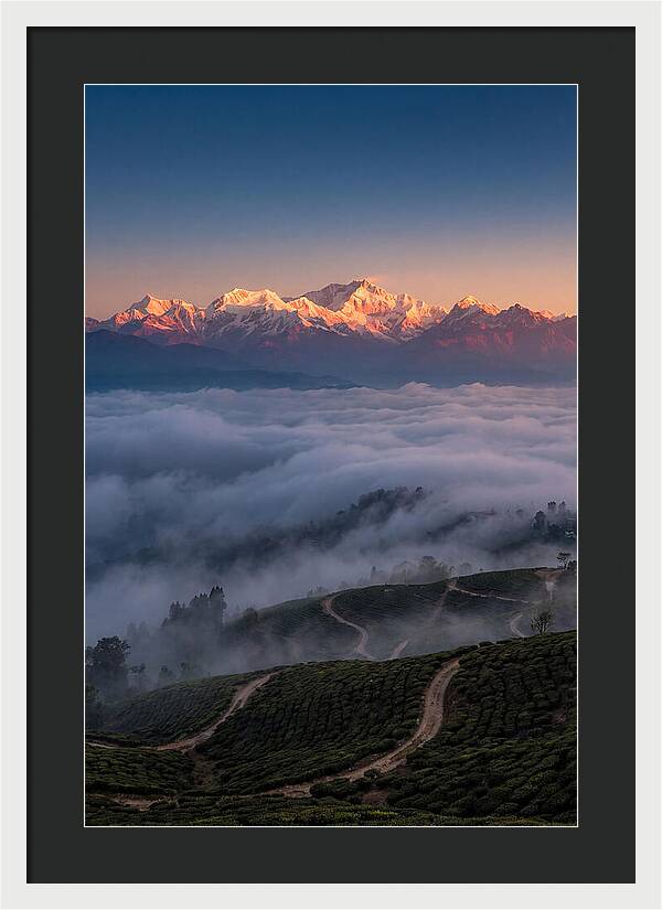 Kangchenjunga At Sunrise
