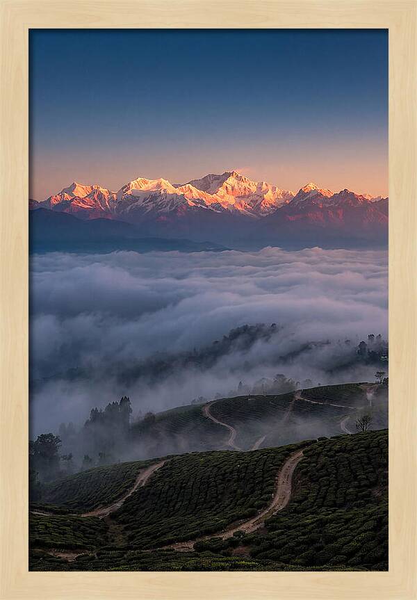 Kangchenjunga At Sunrise