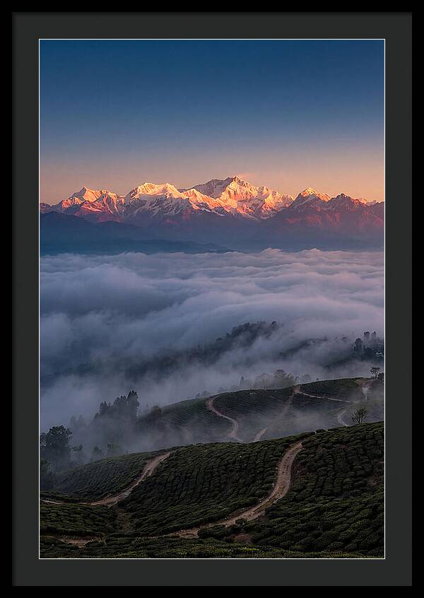 Kangchenjunga At Sunrise