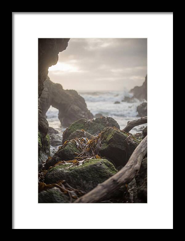 Kelp Covered Rocks Along Wild Coast
