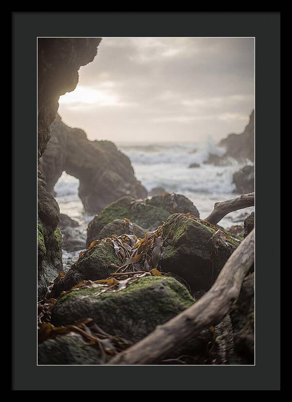 Kelp Covered Rocks Along Wild Coast