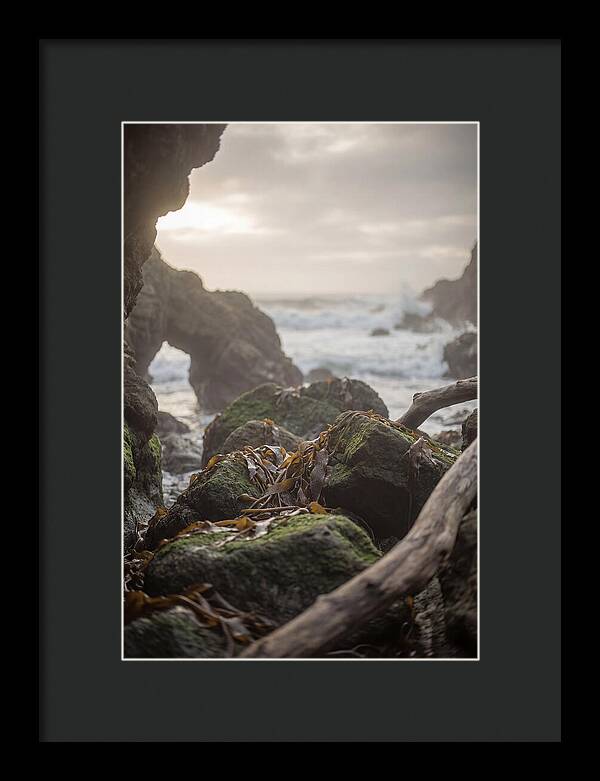 Kelp Covered Rocks Along Wild Coast