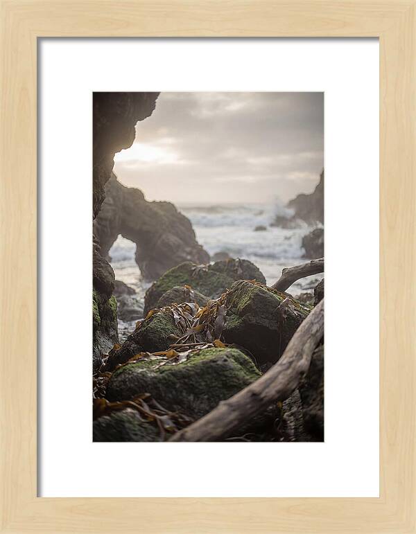 Kelp Covered Rocks Along Wild Coast