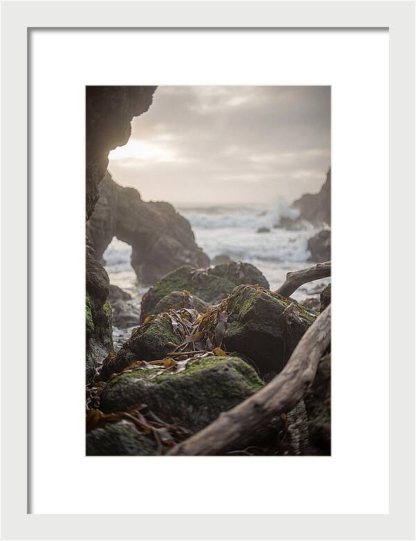 Kelp Covered Rocks Along Wild Coast