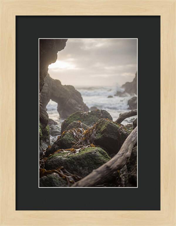 Kelp Covered Rocks Along Wild Coast