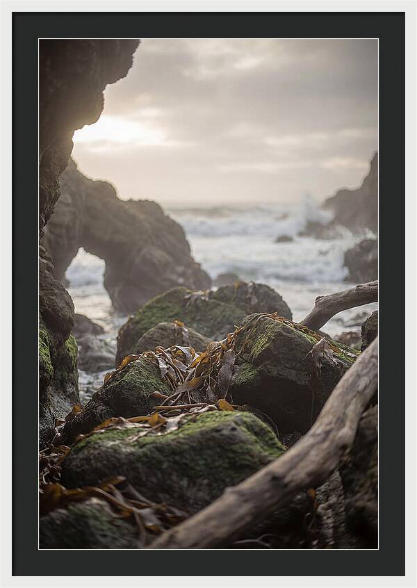 Kelp Covered Rocks Along Wild Coast