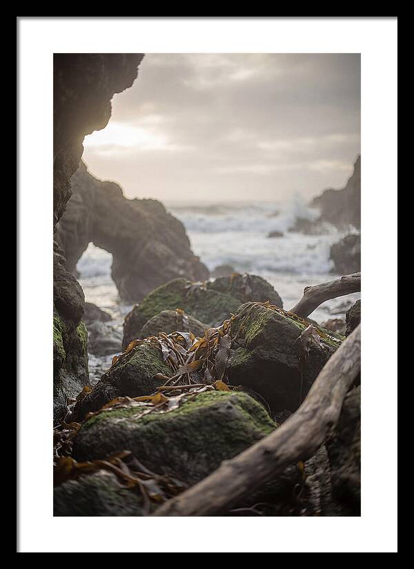 Kelp Covered Rocks Along Wild Coast