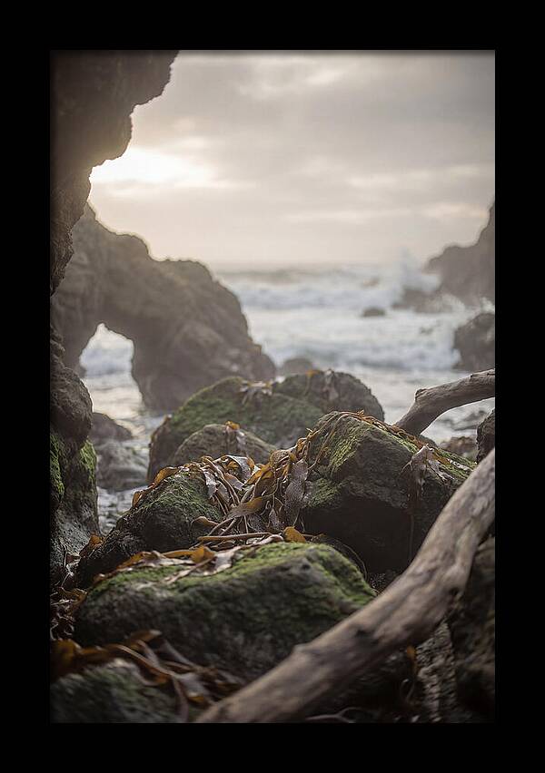 Kelp Covered Rocks Along Wild Coast