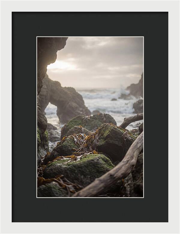 Kelp Covered Rocks Along Wild Coast