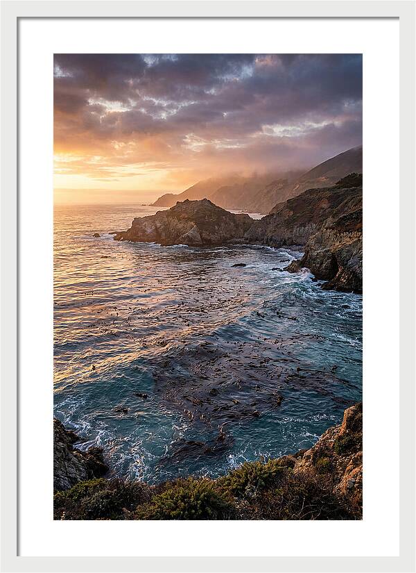 Kelp Forest Serenity