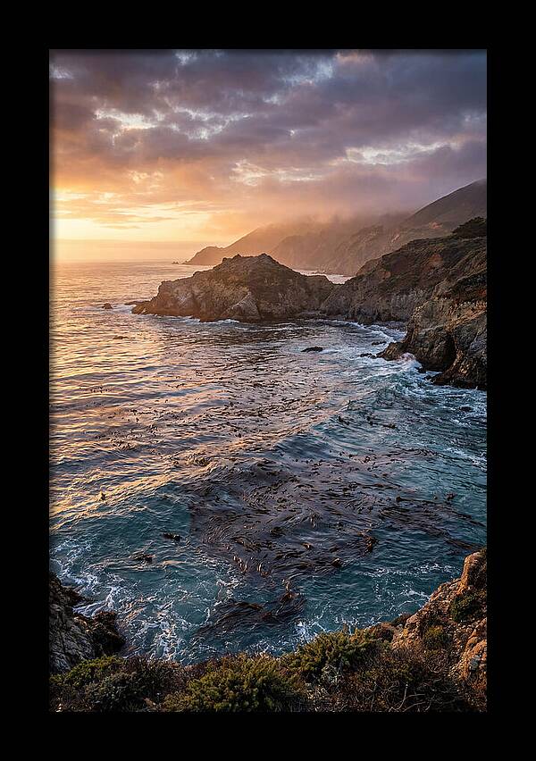 Kelp Forest Serenity