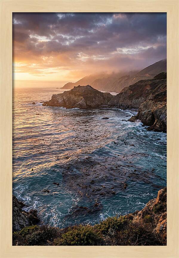 Kelp Forest Serenity