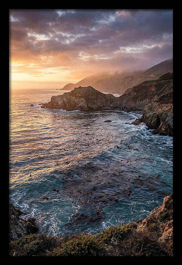 Kelp Forest Serenity