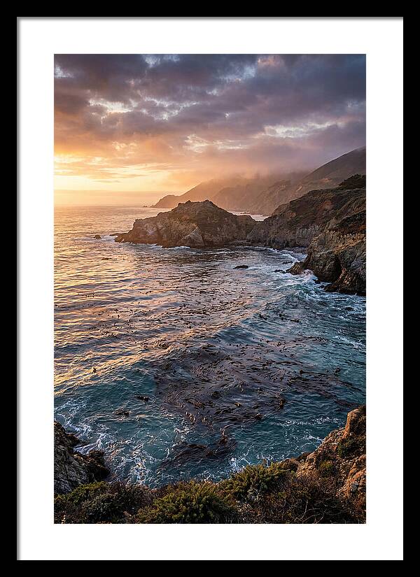 Kelp Forest Serenity