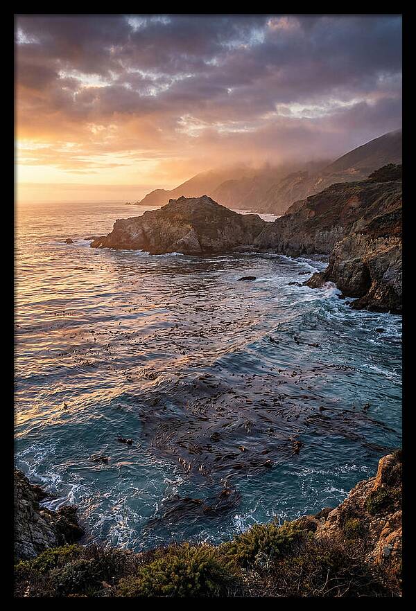 Kelp Forest Serenity