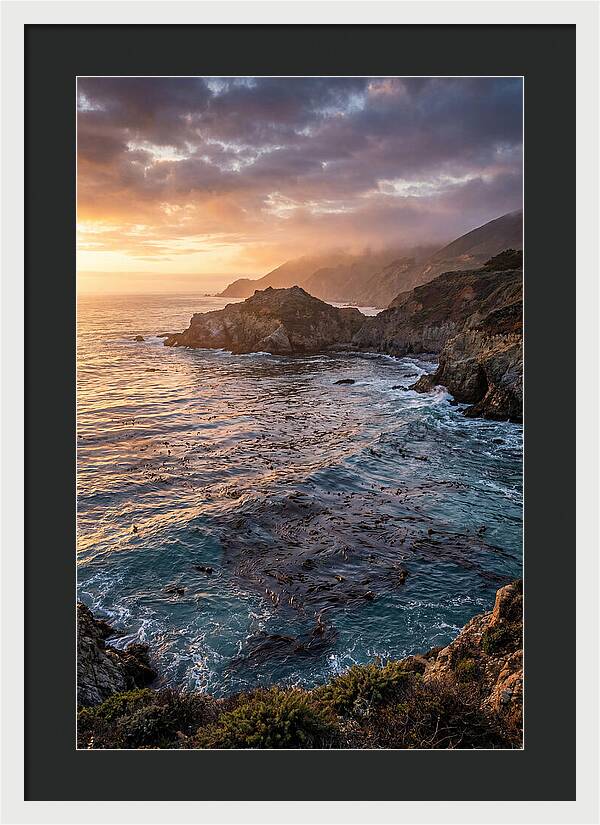 Kelp Forest Serenity