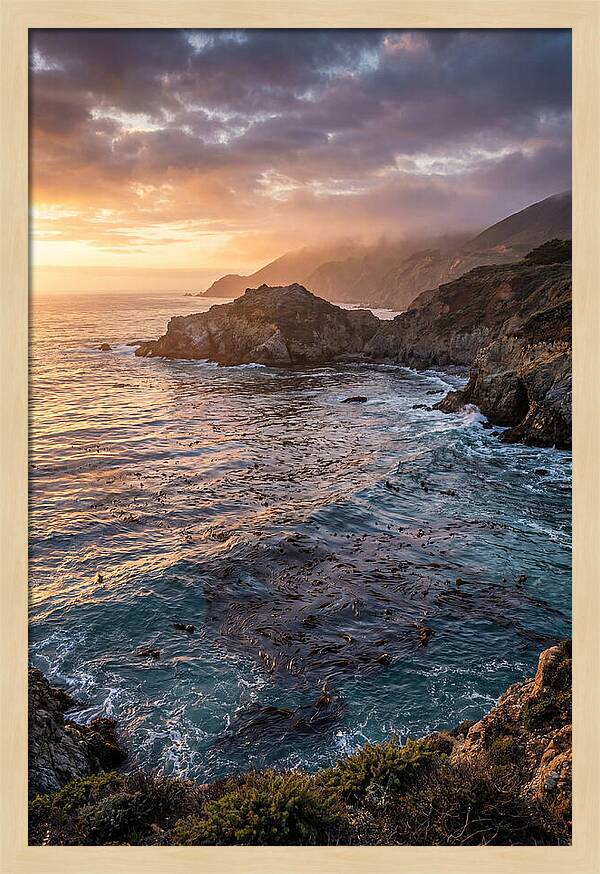 Kelp Forest Serenity