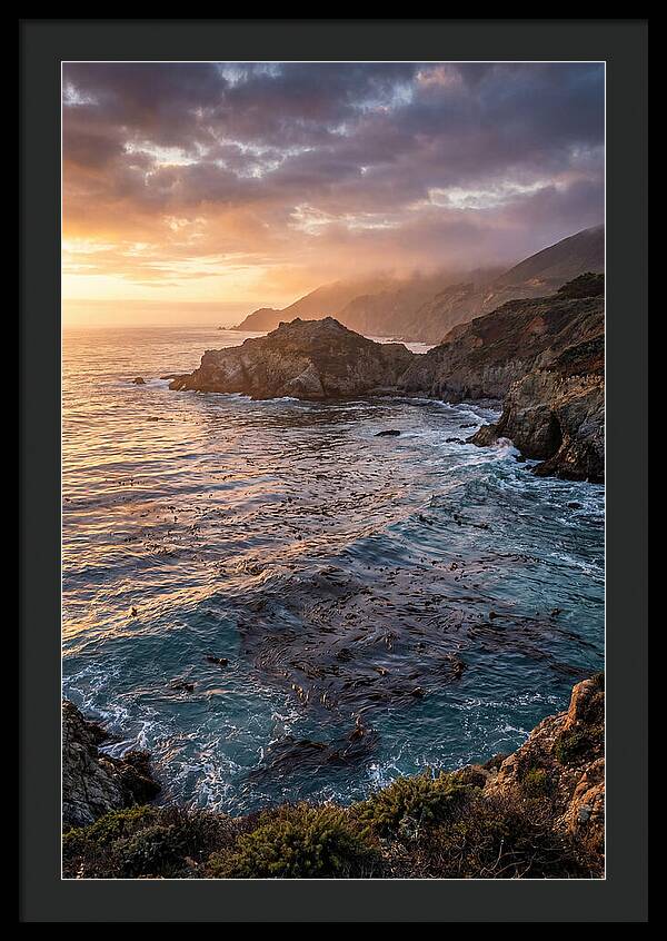 Kelp Forest Serenity