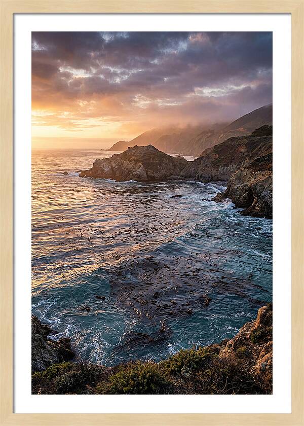 Kelp Forest Serenity