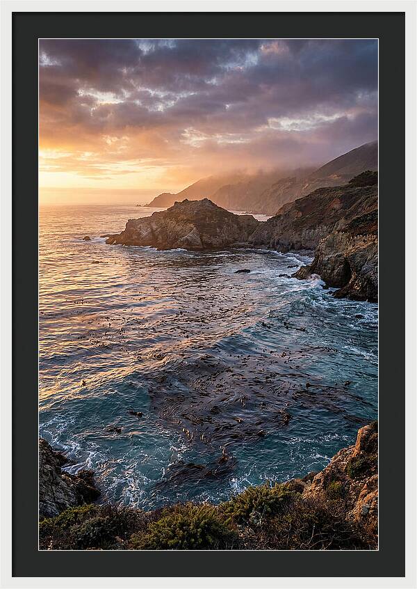 Kelp Forest Serenity
