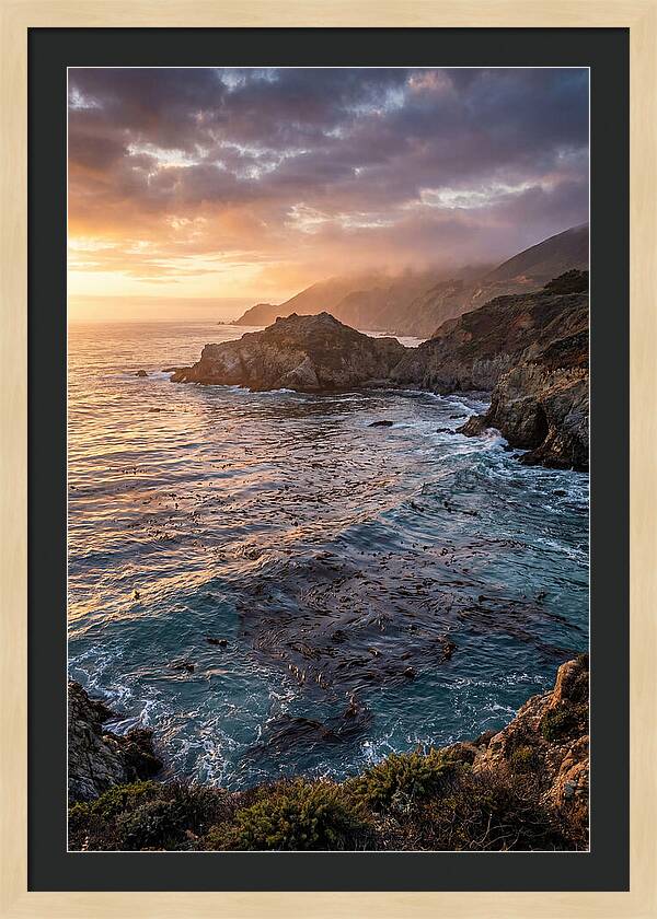 Kelp Forest Serenity