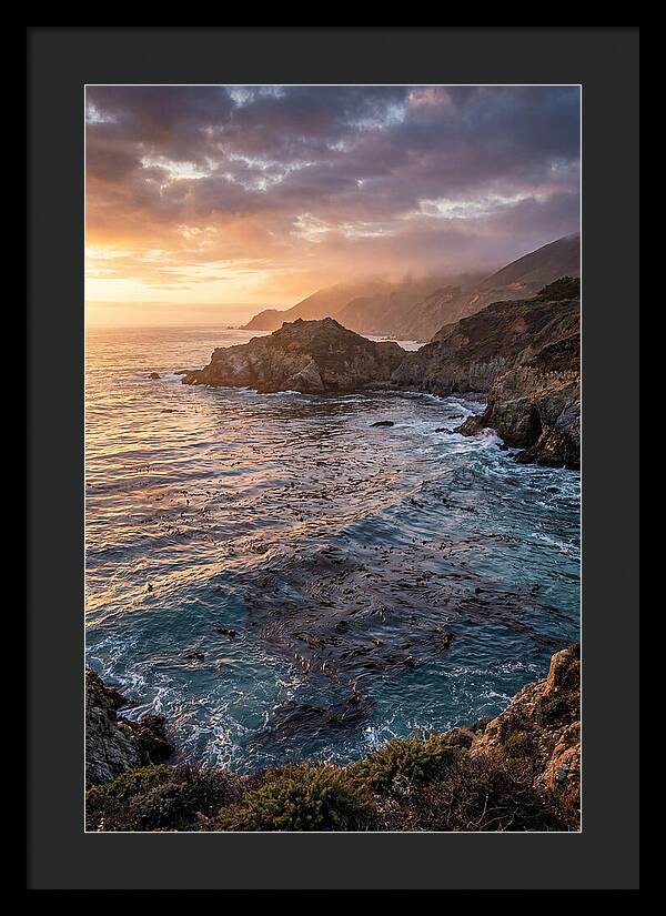 Kelp Forest Serenity
