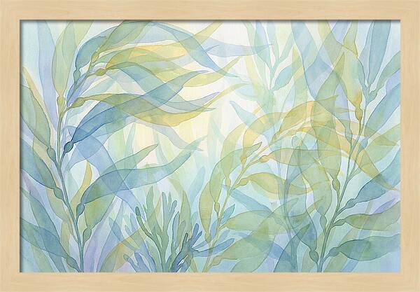 Kelp Forest Swaying