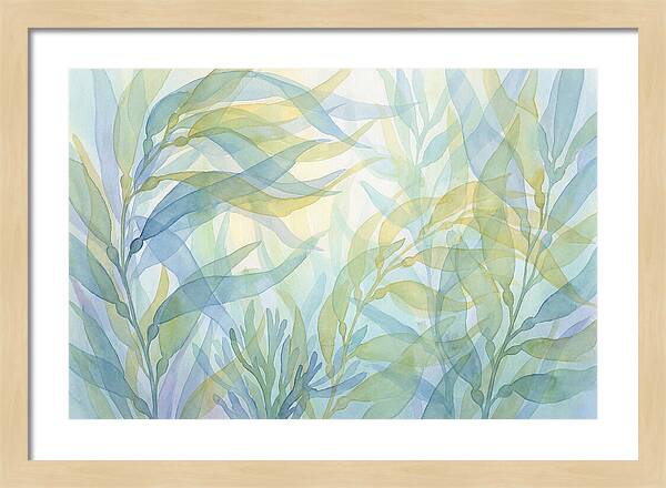 Kelp Forest Swaying