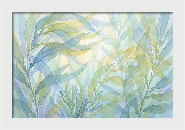 Kelp Forest Swaying