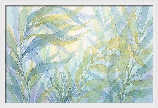 Kelp Forest Swaying