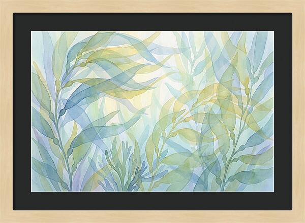Kelp Forest Swaying