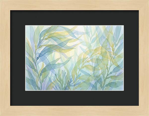 Kelp Forest Swaying
